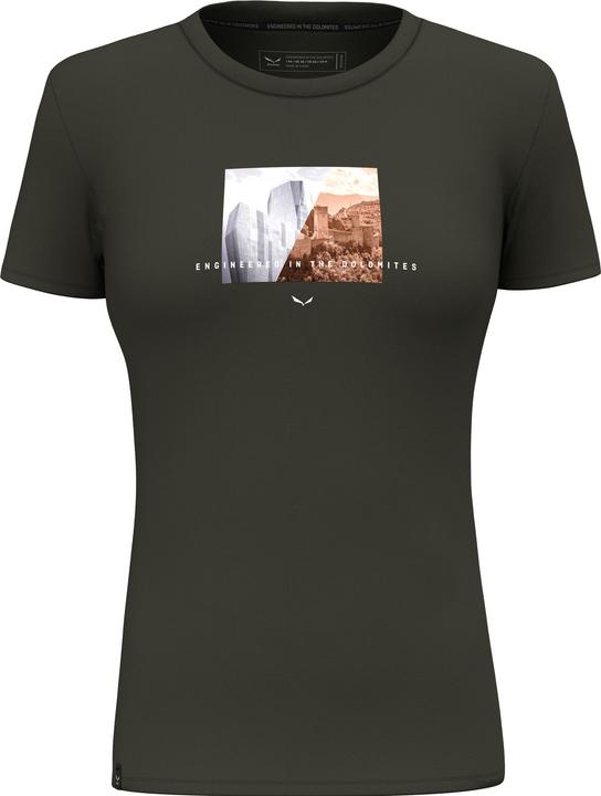 Salewa Pure Design Dry T-Shirt (38, M)
