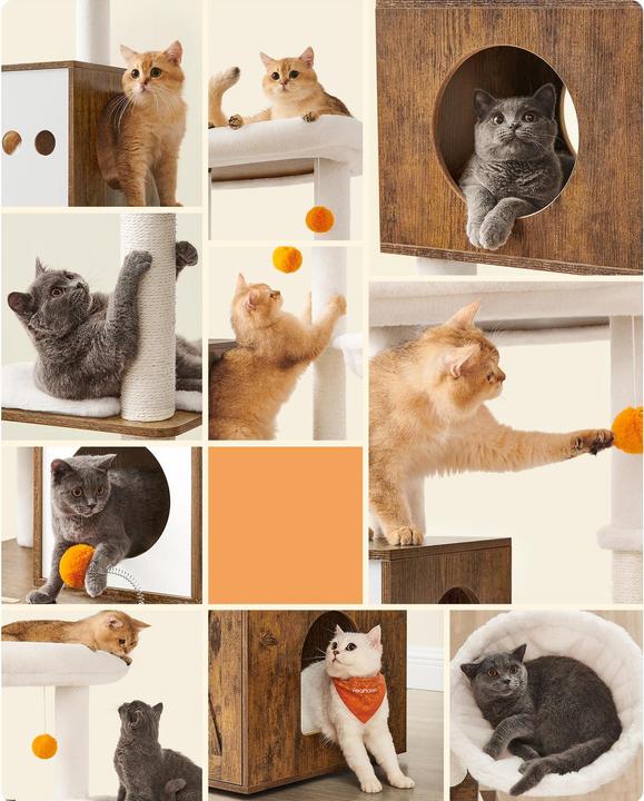 Immagine prodotto Feandrea Mr. Kittens (185 cm, Nero, Marrone rustico)
