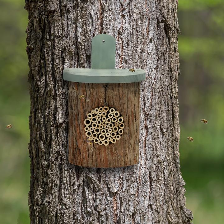 Image du produit Relaxdays Hôtel-insectes (Abeilles sauvages, Abeille, Guêpes creuseuses)