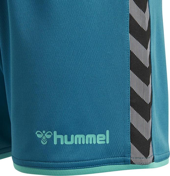 Actual product image hummel Authentic Poly Shorts Woman (L)