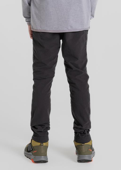 Actual product image Craghoppers Nosilife Pinzon Trousers (158)