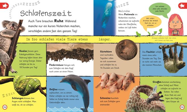 Actual product image Was weisst du über Tiere? (German, Frauke Bahle, Frauke Bahle|DK Verlag - Kids, 2018)