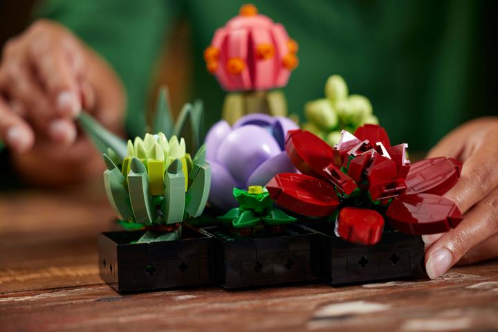 Immagine prodotto LEGO Succulente (10309, LEGO Botanical, Set LEGO rari)