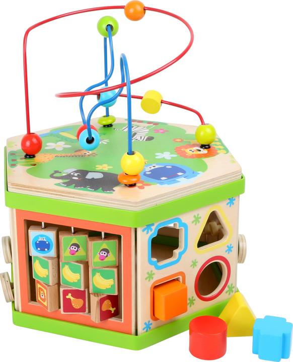 Actual product image small foot Motoric Cube Safari