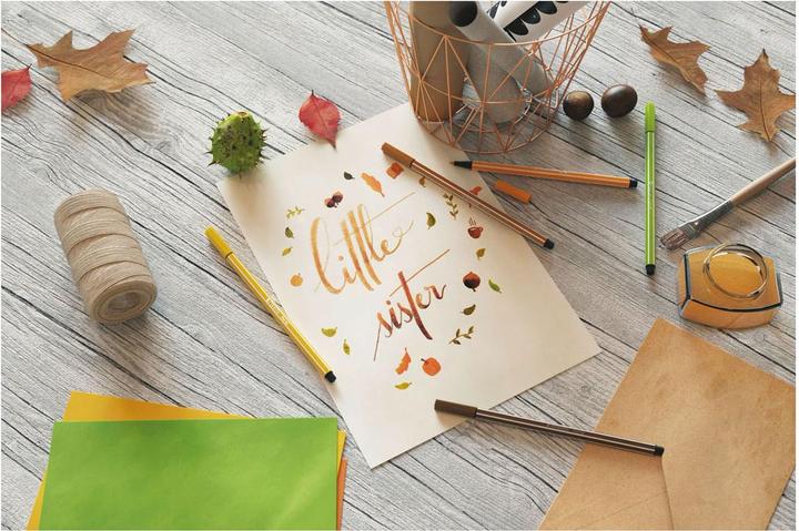 Image du produit STABILO Pen 68 Feutre Premium (Rose, 1 x)