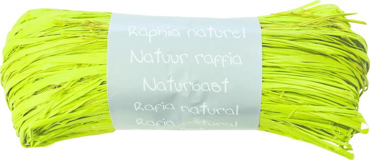 Immagine prodotto Clairefontaine Nastri regalo (Nastro da regalo, 176 x)