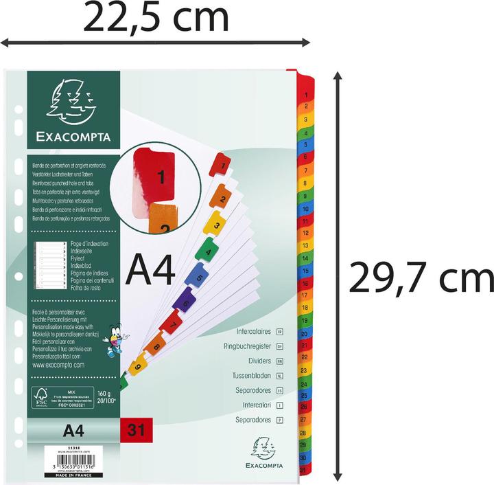 Image du produit Exacompta Intercalaires Imprimés numériques carte blanche 160g/renforts couleurs + page de garde - 31 position