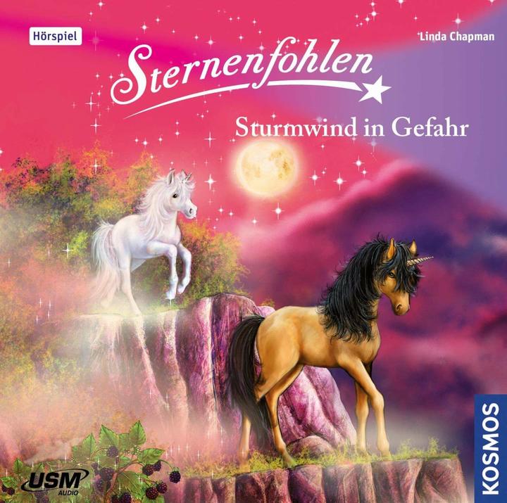 Produktbild Sternenfohlen (Folge 15): Sturmwind in Gefahr (Linda Chapman, Deutsch)