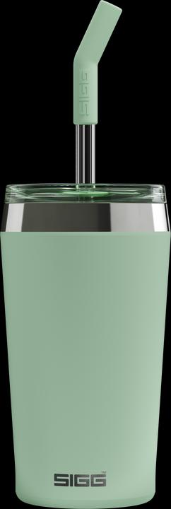 Actual product image Sigg Helia (0.45 l)