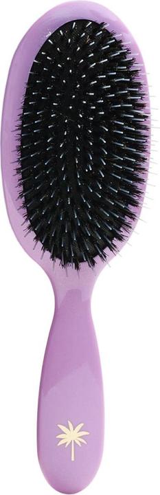 Fan Palm - Hair Brush Medium Butterfly