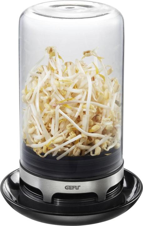 Image du produit GEFU Germoir Bivita