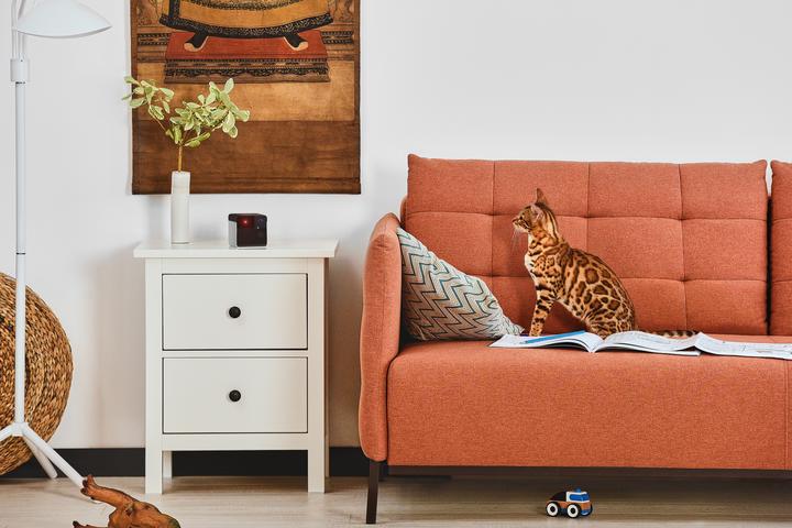 Produktbild Petcube Haustierkamera mit Leckerli Ausgabe (1000 l)