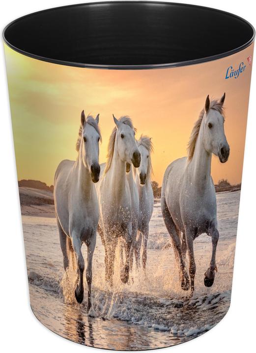 Läufer Chevaux sur la plage (13 l)