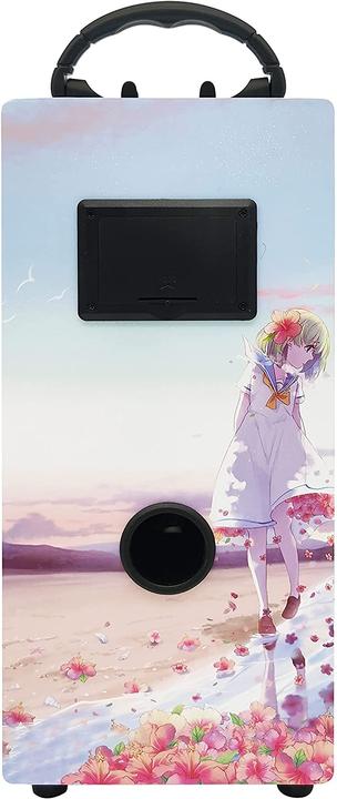 Actual product image Dynasonic Karaoke toys, 025-17