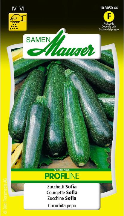 Actual product image Samen Mauser Zucchetti Sofia Profiline (Vegetable seeds)