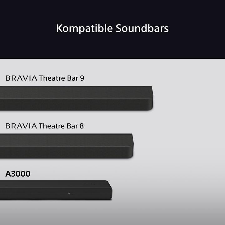 Actual product image Sony Bravia Theatre Rear 8 (1 pair, 100 W)