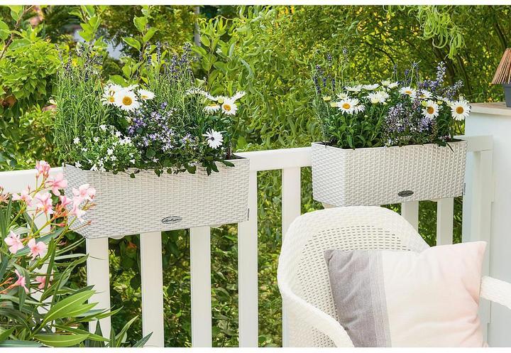 Immagine prodotto Lechuza Balconera Cottage (19 cm)