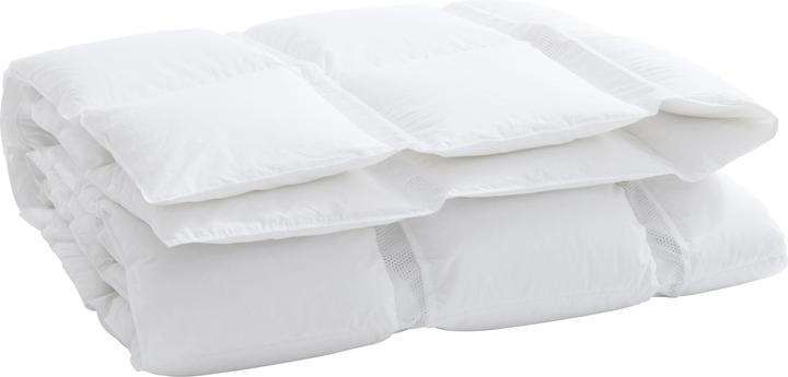 Produktbild Billerbeck Climabalance Classic (500 g, 160 x 210 cm)