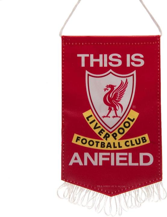 Actual product image Score Draw This Is Anfield Mini Pennant