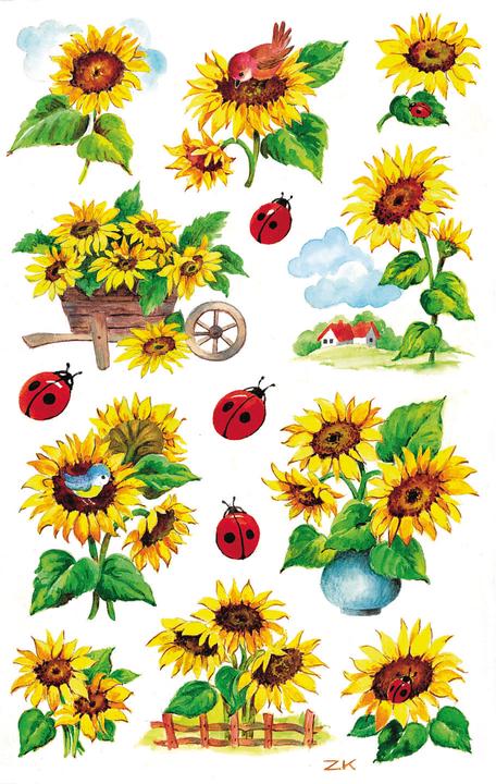 Produktbild Z-Design Sonnenblumen
