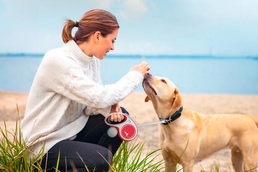 Actual product image Flexi New Comfort belt (XS, Dog, Walks)