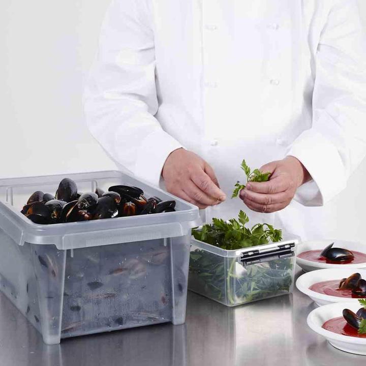 Immagine prodotto Ebnat SmartStore Dry Box grigio (40 x 30 x 20 cm, 12 l)
