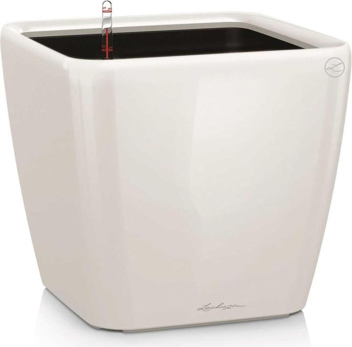 Lechuza Quadro LS (35.50 cm)