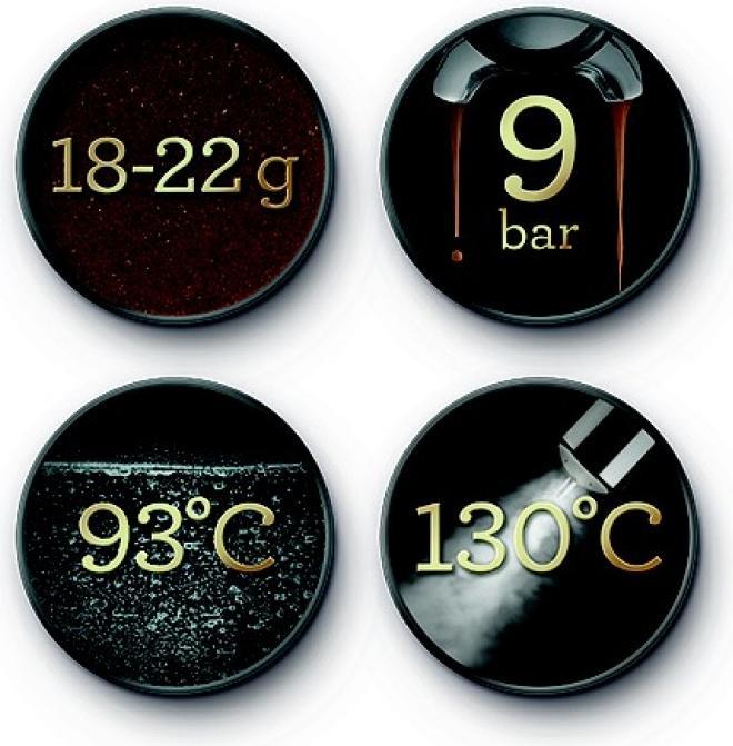 Actual product image Sage Dynamic Duo (CH plug)