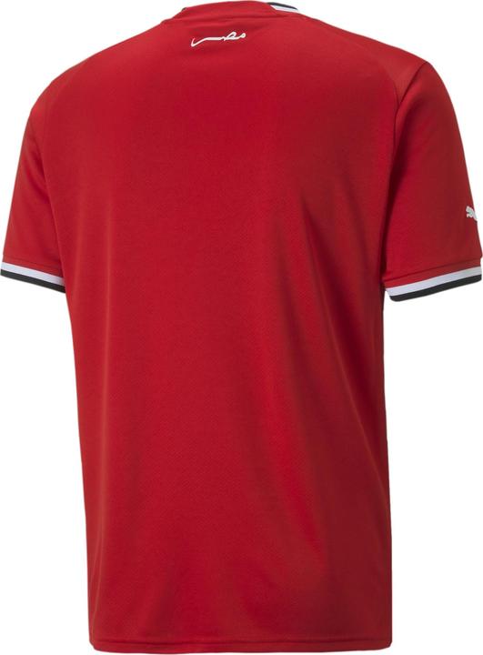 Immagine prodotto Puma Maglia EFA Home Replica (L)