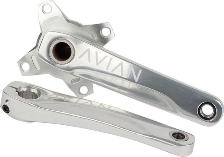Avian Cadence (180 mm)
