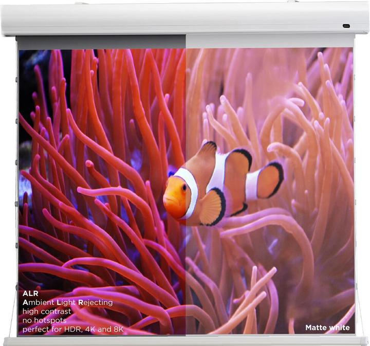 Actual product image Celexon HomeCinema (135", 16:9)