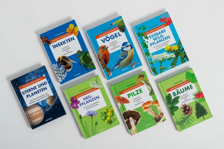 Produktbild Taschenführer Vögel (Deutsch, Thomas Launois, Svenja Tengs, 2020)