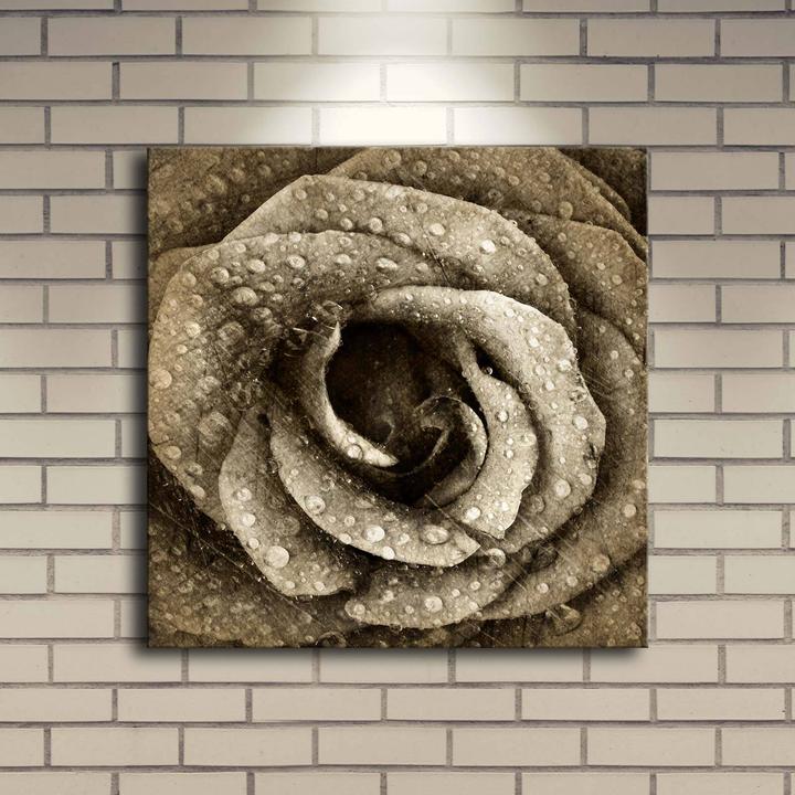 Produktbild Wallxpert Isabela (40 x 40 cm)