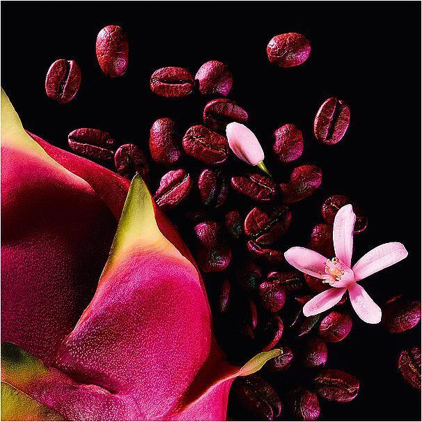 Actual product image Yves Saint Laurent Black Opium Neon (Eau de parfum, 75 ml)