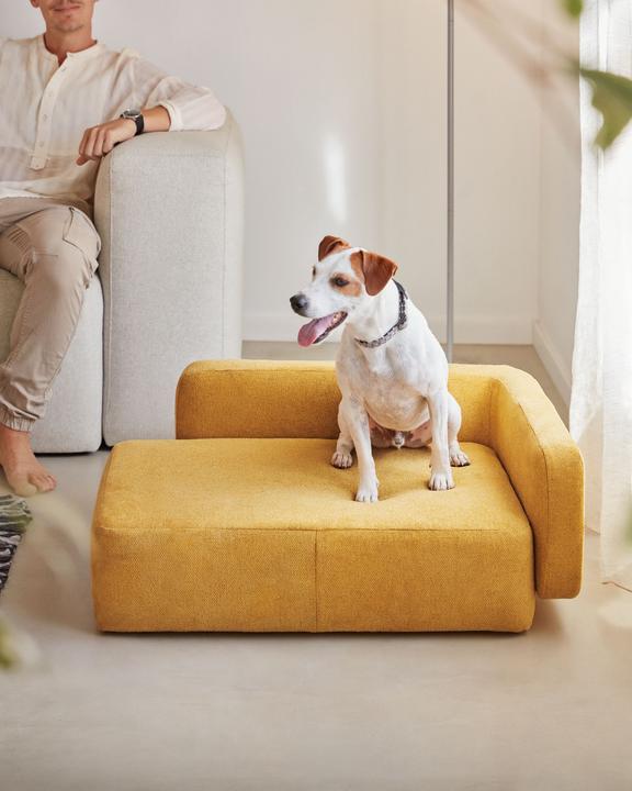 Actual product image Kave Home Bowie (Dog)