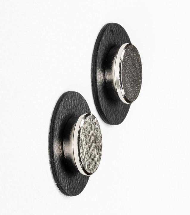 Actual product image Silwy Hook Magnet Pins Smart (1 x)