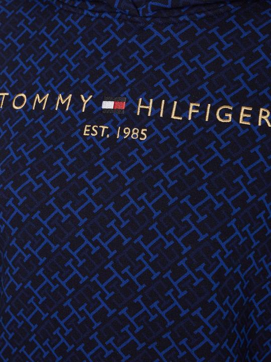 Immagine prodotto Tommy Hilfiger Felpa da donna isolata con cappuccio (XS)