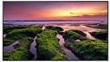 Produktbild Samsung QB75B (3840 x 2160 Pixel, 75")