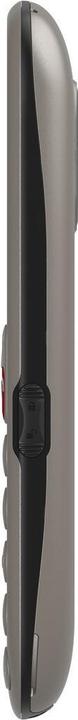 Actual product image Gigaset GL395 silver (2.20", 0.30 Mpx, 2G)