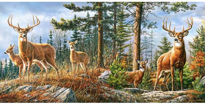 Produktbild Castorland C-400317-2 puzzle Jigsaw puzzle 4000 pc(s) Animals (4000 Teile)