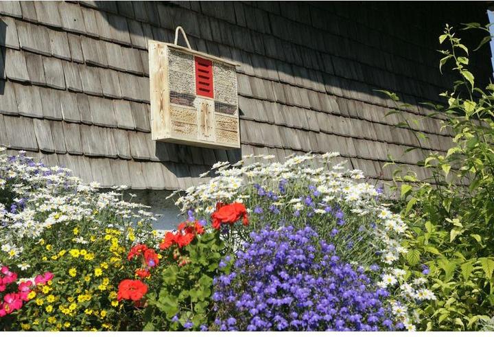 Immagine prodotto Windhager Insetti Grand Hotel Ambient (Melodie accattivanti, Calabroni, Coccinelle, Api)