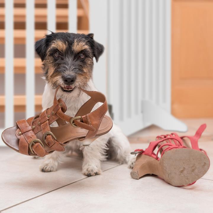 Immagine prodotto Relaxdays Griglia di Sicurezza per Cani, MDF (30 cm)