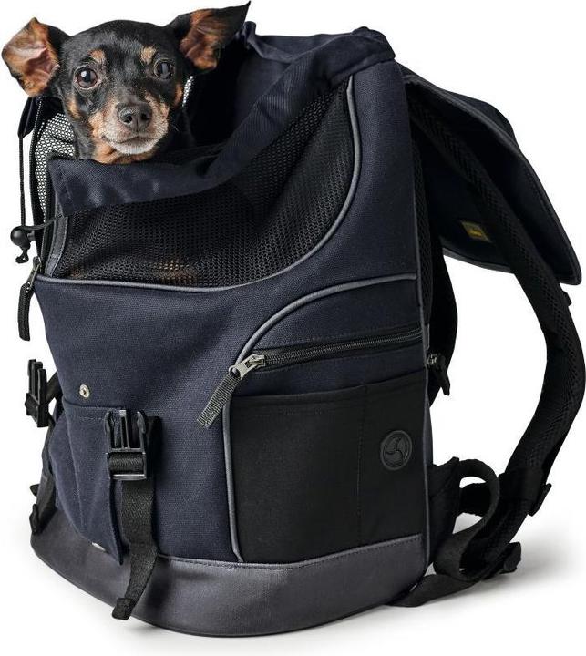 Actual product image Hunter Madison (Dog, Washable)