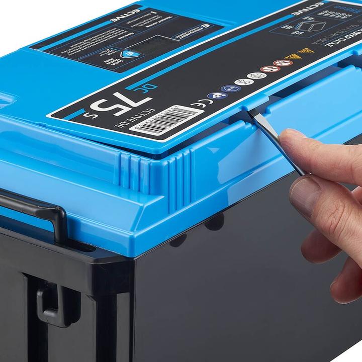 Immagine prodotto Ective Batteria di alimentazione AGM a ciclo profondo 12V 115Ah con display batteria camper (12 V, 115 Ah)