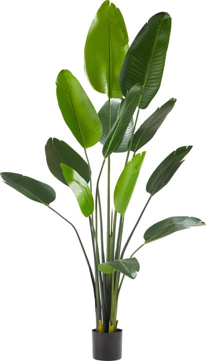 tectake Künstlicher Paradiesvogelbaum Tropic, naturgetreu (180 cm)