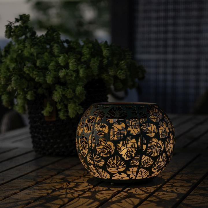 Produktbild STT Monstera