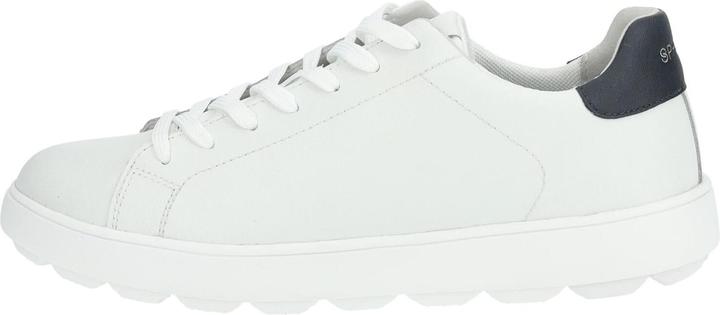 Actual product image Geox Sneaker (46)