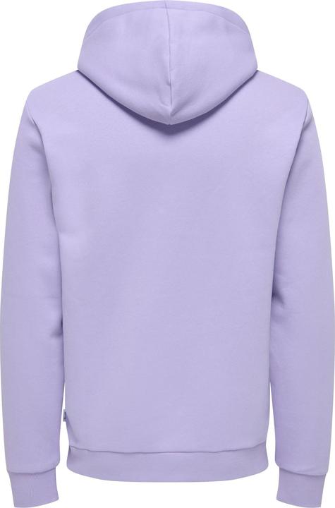 Immagine prodotto Only & Sons Onsceres Hoodie Sweat Noos (M)