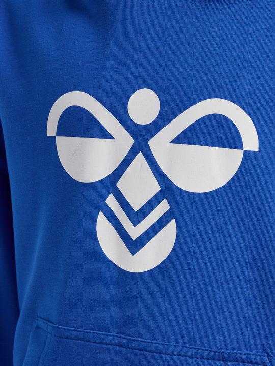 Actual product image hummel hmlCUATRO HOODIE (122)