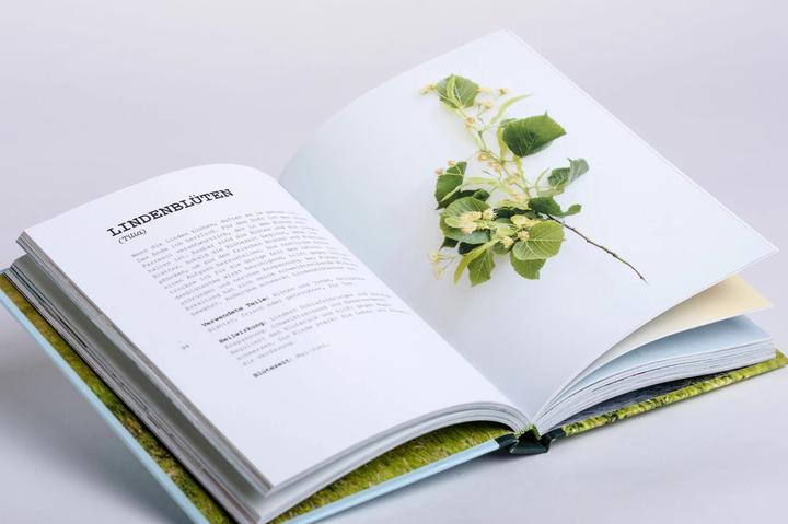 Produktbild Wildpflanzen essen (Deutsch, Leoniek Bontje, Yvet Noordermeer, 2020)